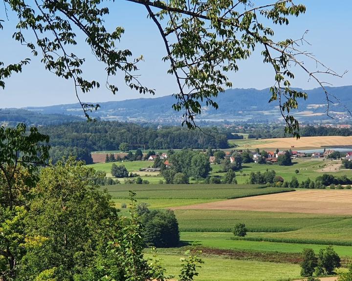 Gasthaus Gruner Berg